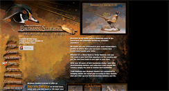 Desktop Screenshot of birdmanstudios.com