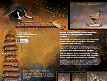 Tablet Screenshot of birdmanstudios.com